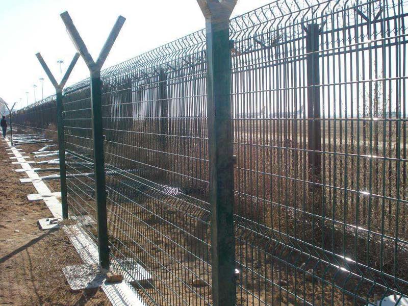 �C���o�ھW�DƬ